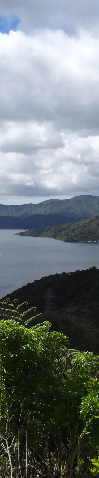 Marlborough Sounds